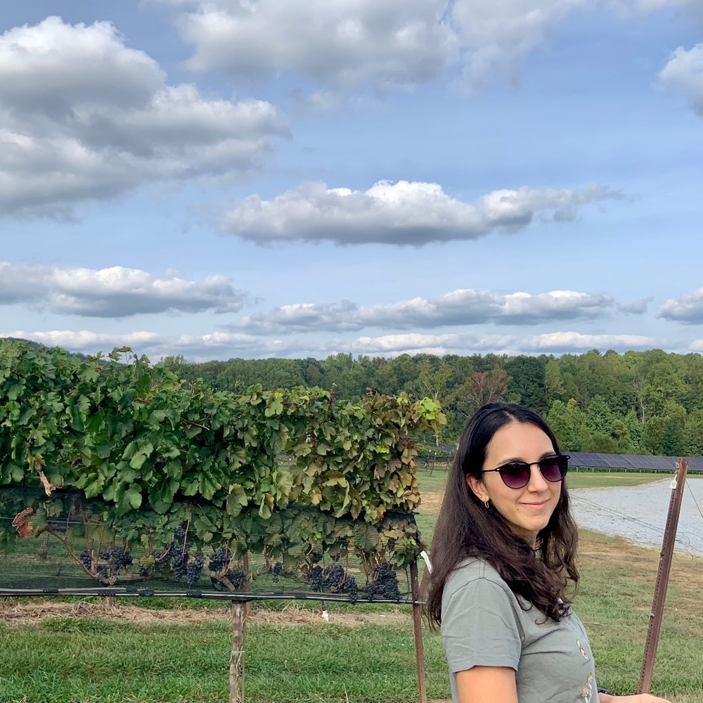 Meet your Posher, Amanda